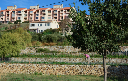 Conservatoire des Restanques et jardin méditerranéen