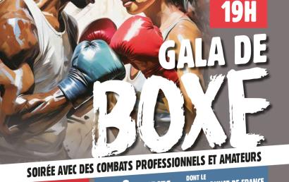 Gala de boxe