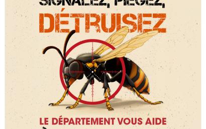 Grand plan de lutte contre le frelon asiatique et oriental