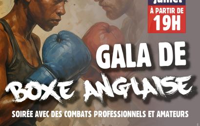 Gala de boxe