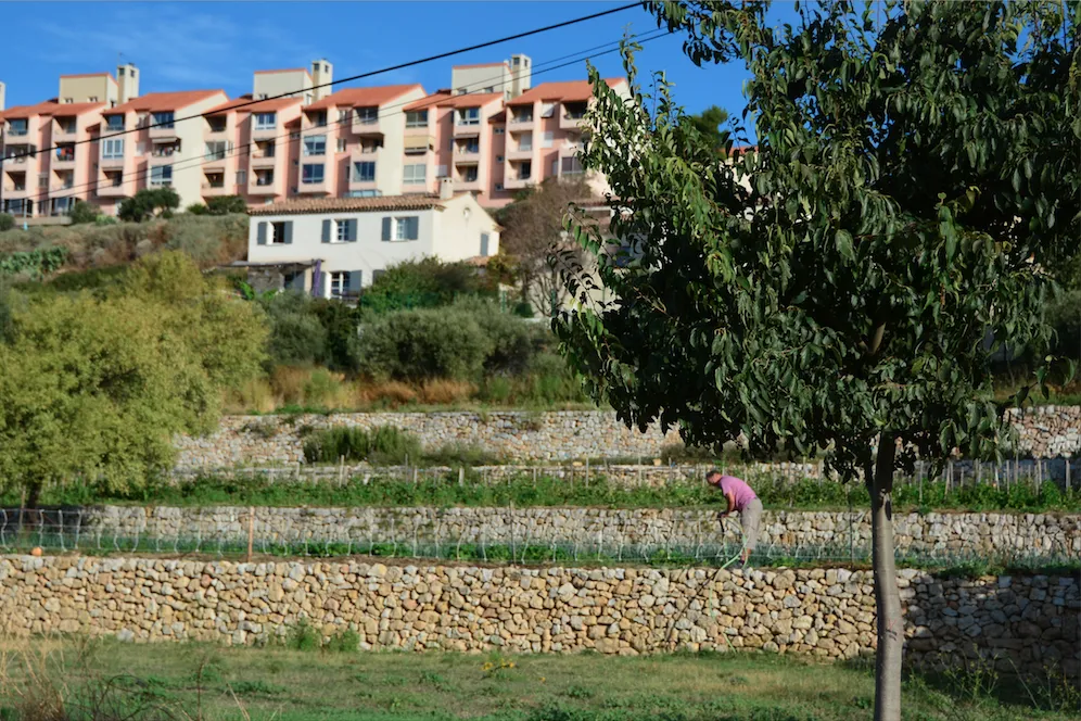 Conservatoire des Restanques et jardin méditerranéen