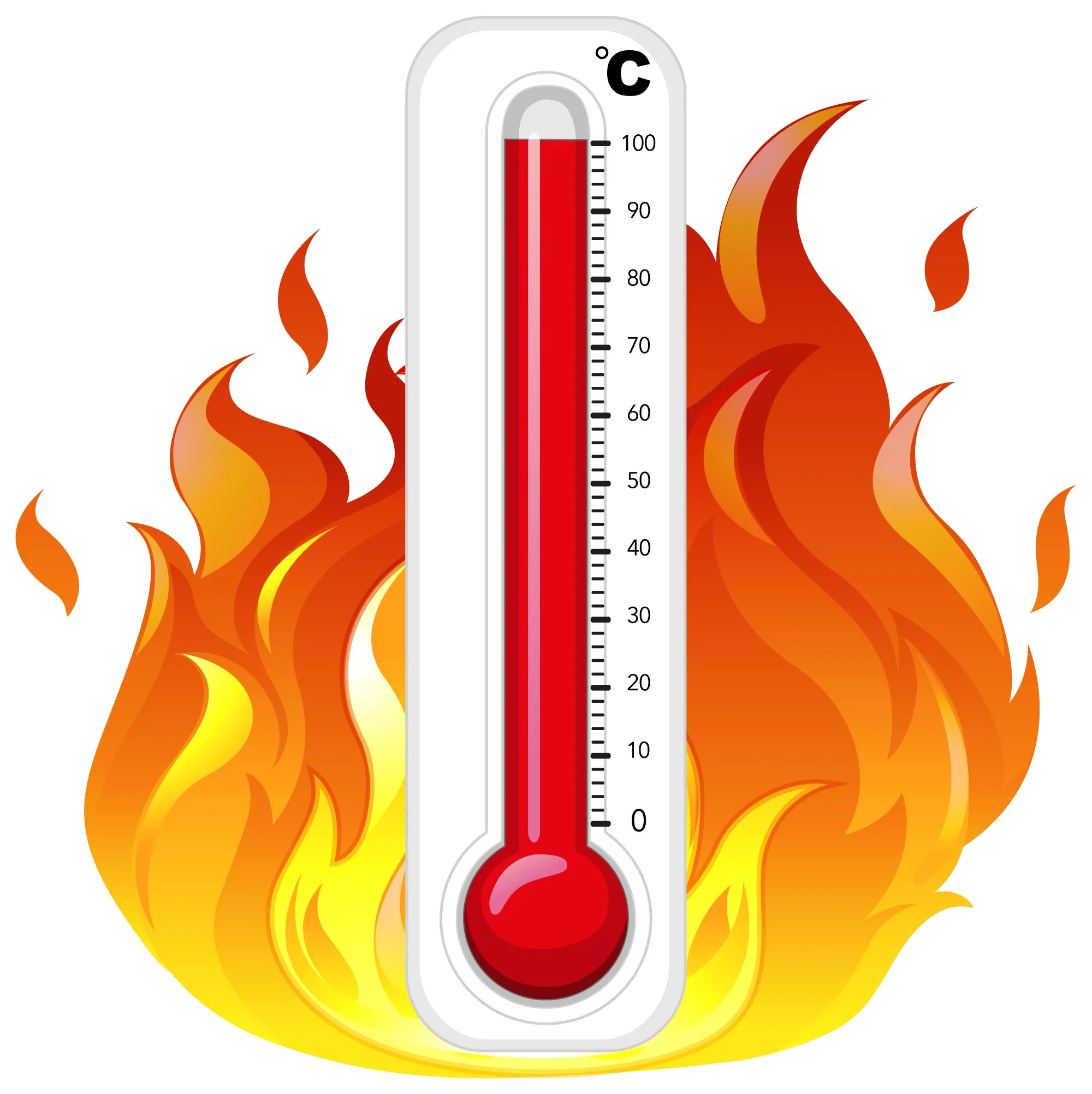 Canicule